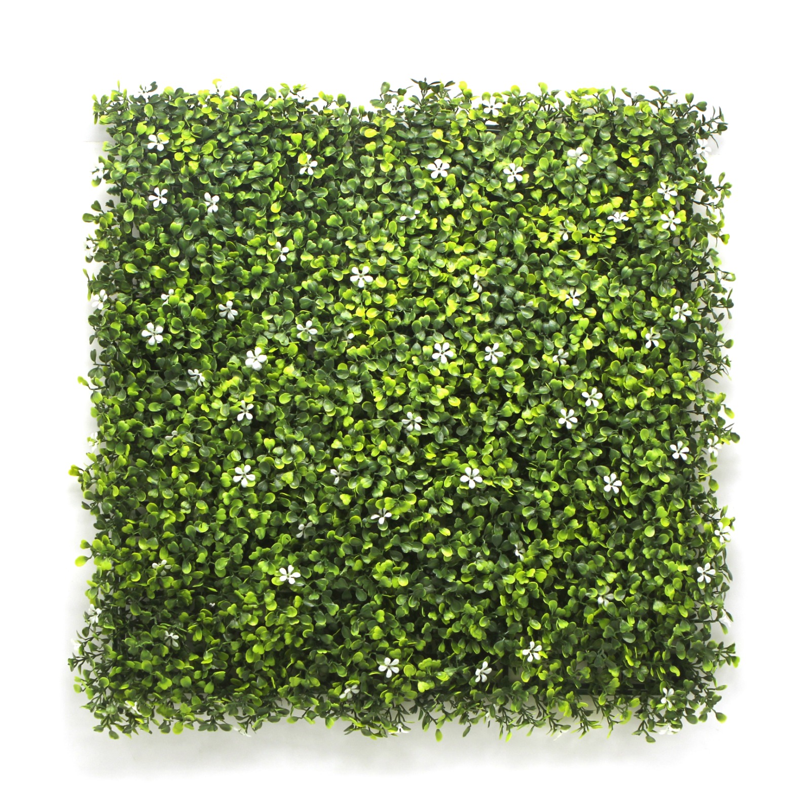 Wall Grass - ENGLISH JASMINE Pack of 6  Rs:5700/-
